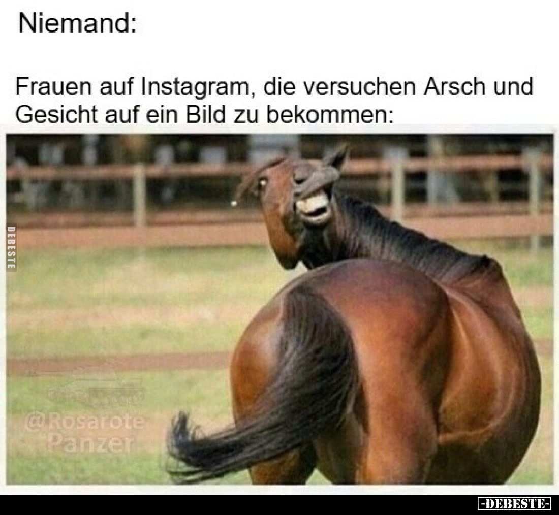 Niemand:

Frauen auf Instagram, die versuchen Arsch und Gesicht auf ein Bild zu bekommen: