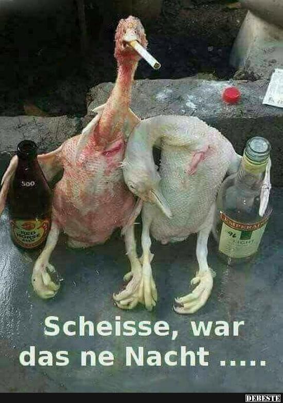 Schei###, war das ne Nacht..