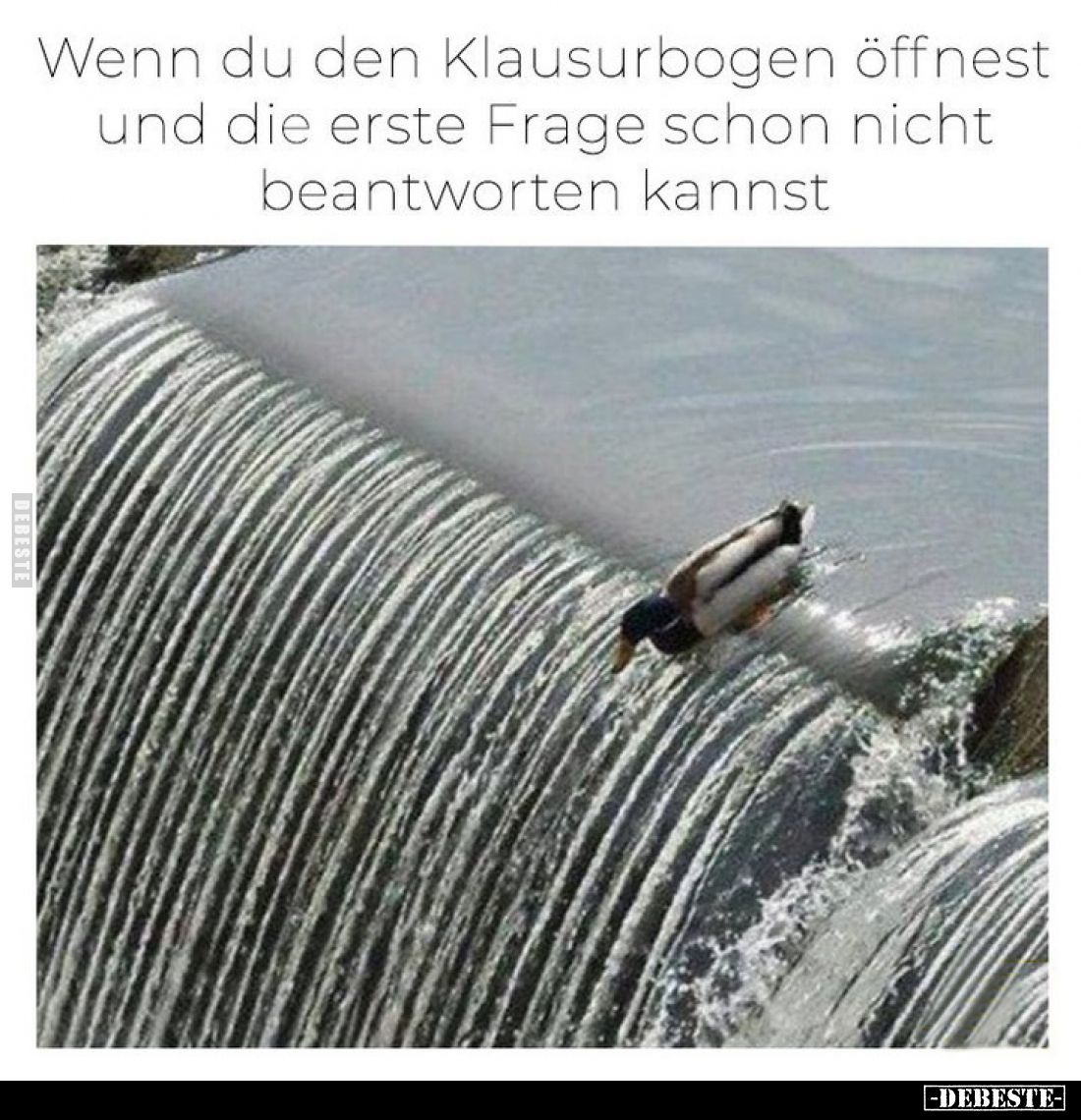 Wenn du den Klausurbogen öffnest und die erste Frage schon nicht beantworten kannst.