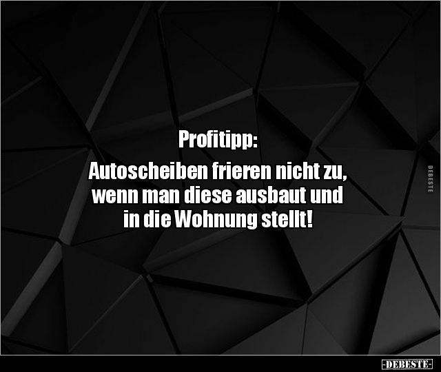 Profitipp: Autoscheiben frieren nicht zu, wenn man diese.. - Lustige Bilder | DEBESTE.de