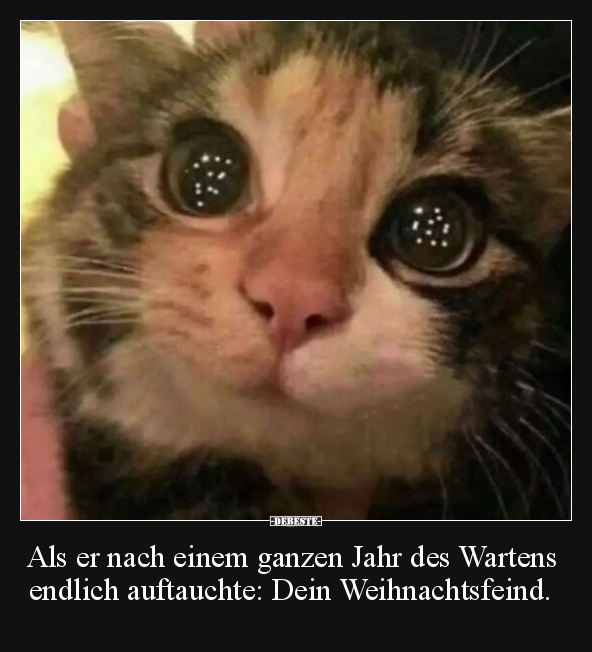 Als er nach einem ganzen Jahr des Wartens endlich.. - Lustige Bilder | DEBESTE.de