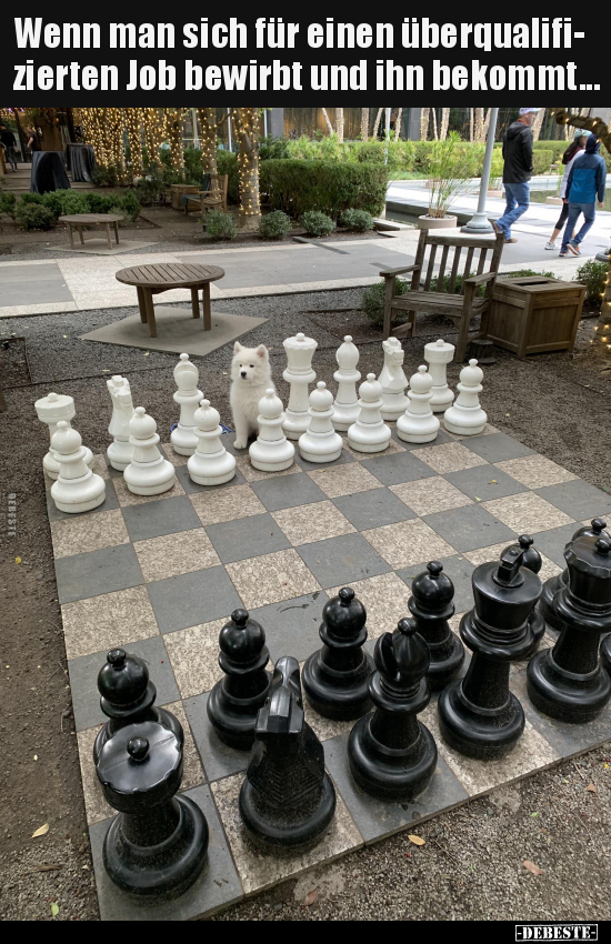 Wenn man sich für einen überqualifizierten Job bewirbt und..