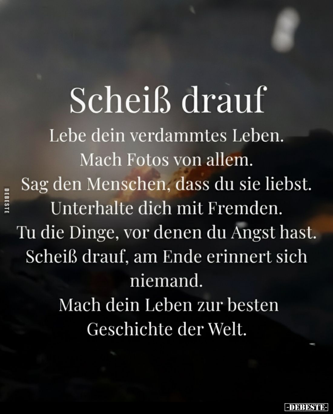 Bild