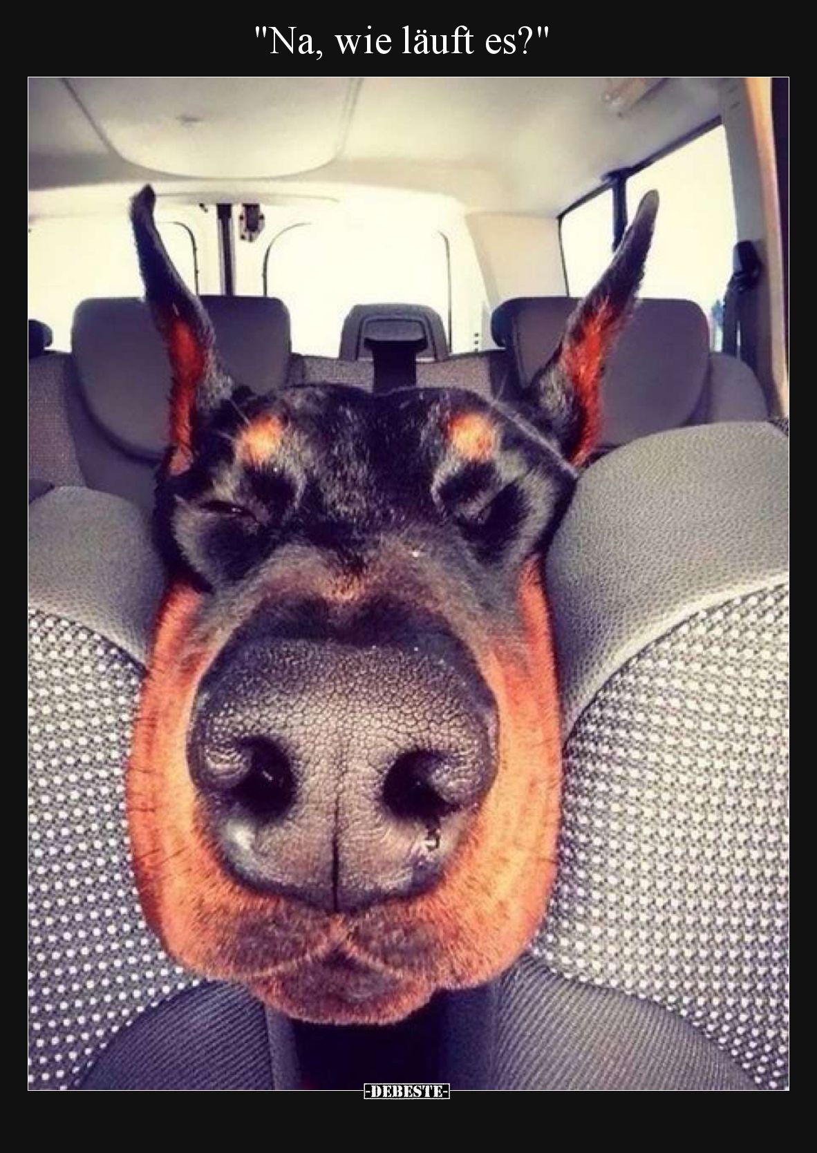 "Na, wie läuft es?".. - Lustige Bilder | DEBESTE.de