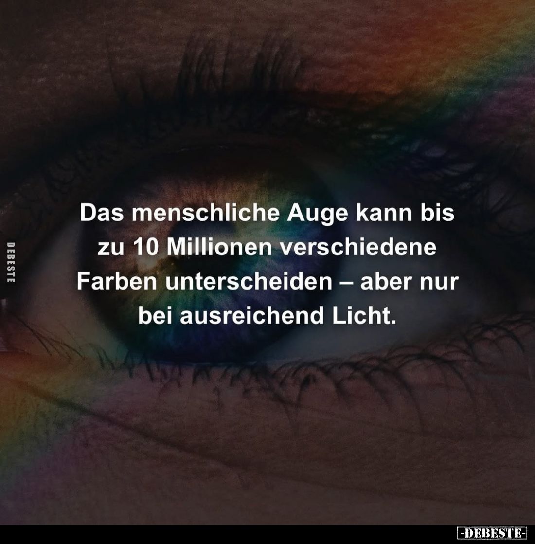 Das menschliche Auge kann bis zu 10 Millionen verschiedene Farben unterscheiden – aber nur bei ausreichend Licht.