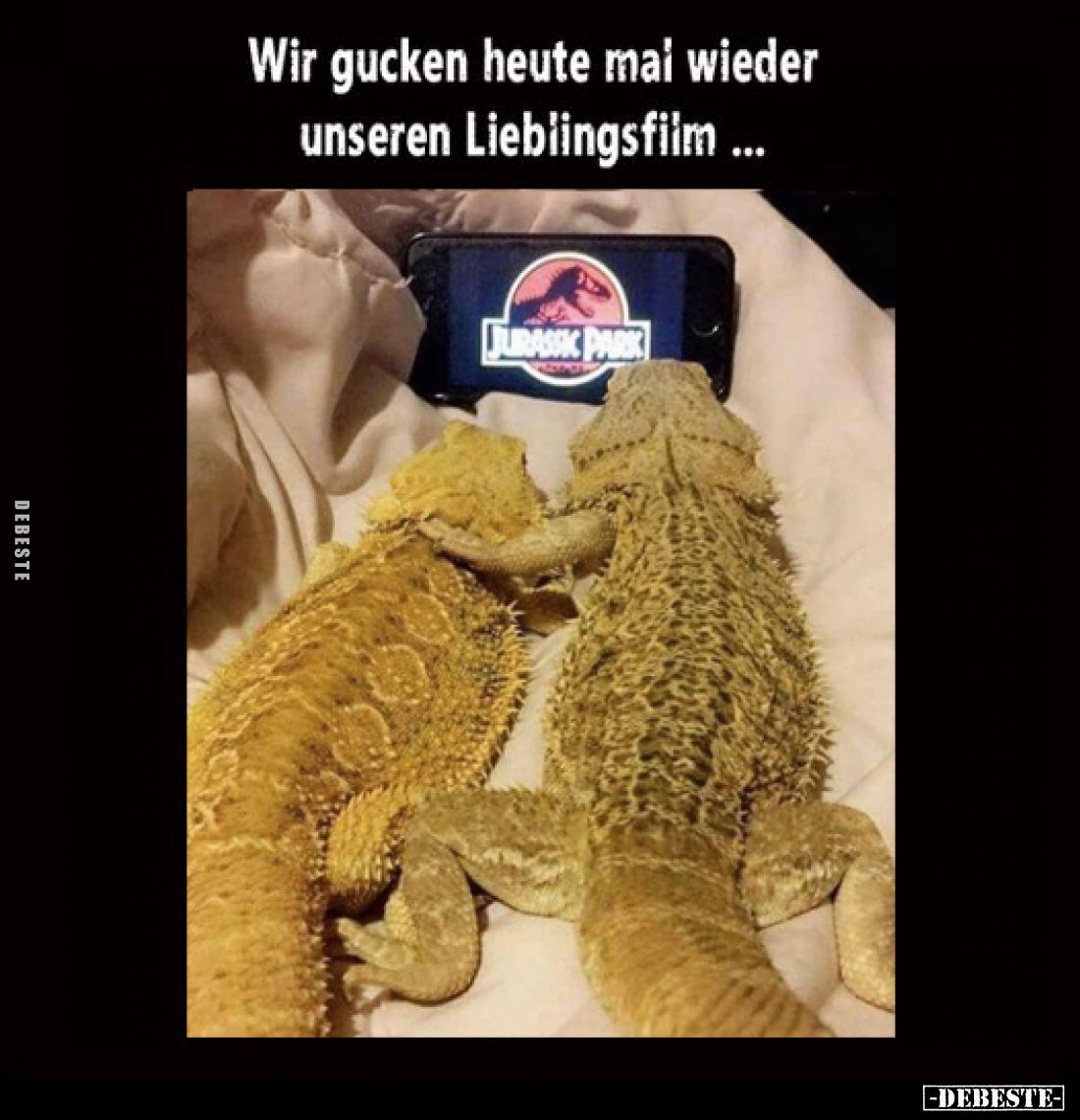 Wir gucken heute mal wieder unseren Lieblingsfilm.