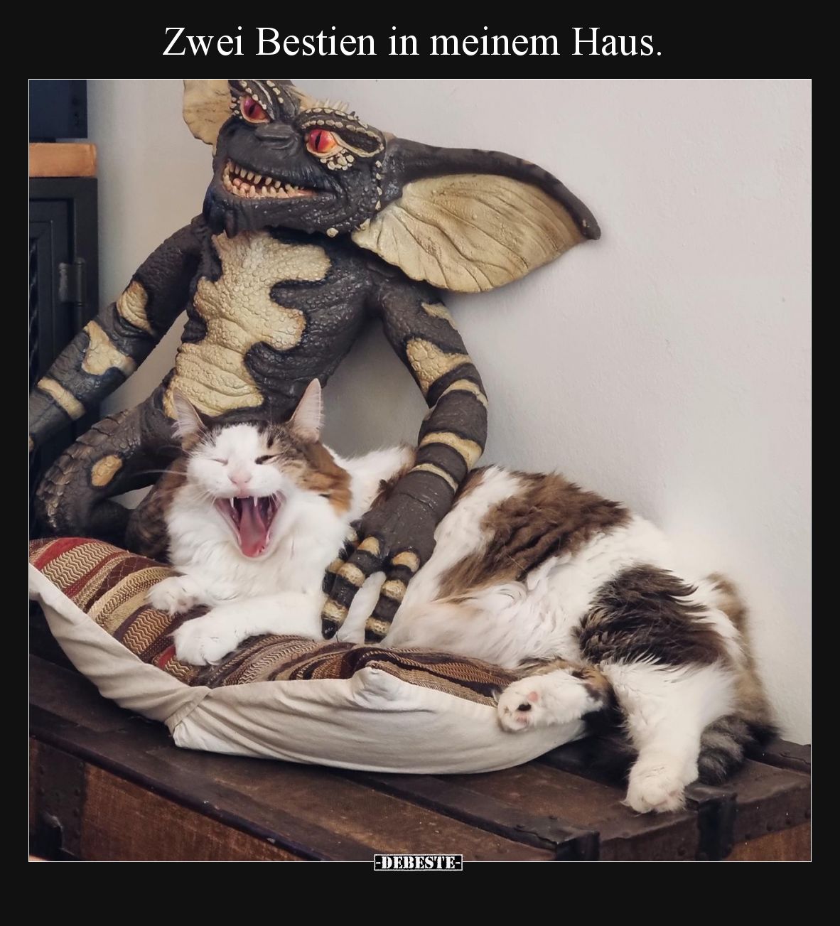 Zwei Bestien in meinem Haus.