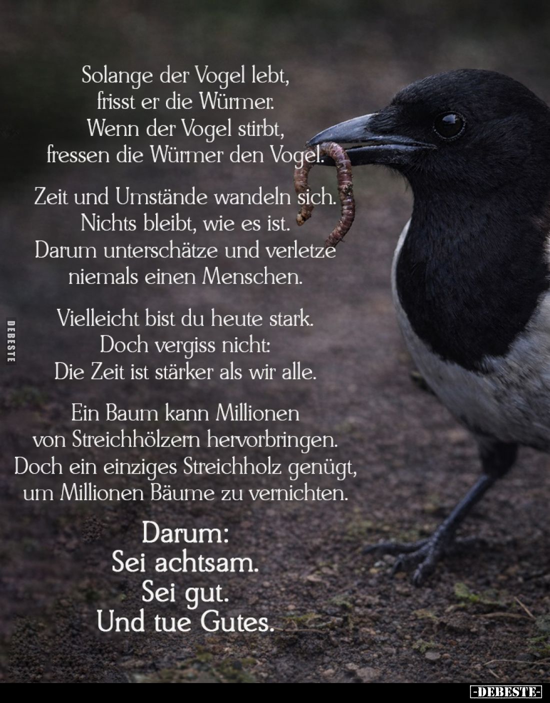 Solange der Vogel lebt, frisst er die Würmer... - Lustige Bilder | DEBESTE.de