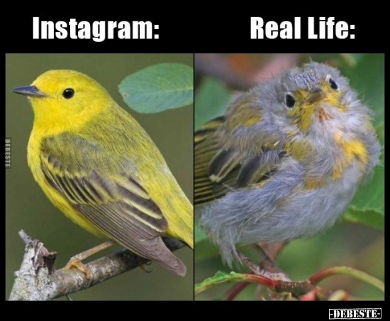 Instagram vs. Real Life... - Lustige Bilder | DEBESTE.de