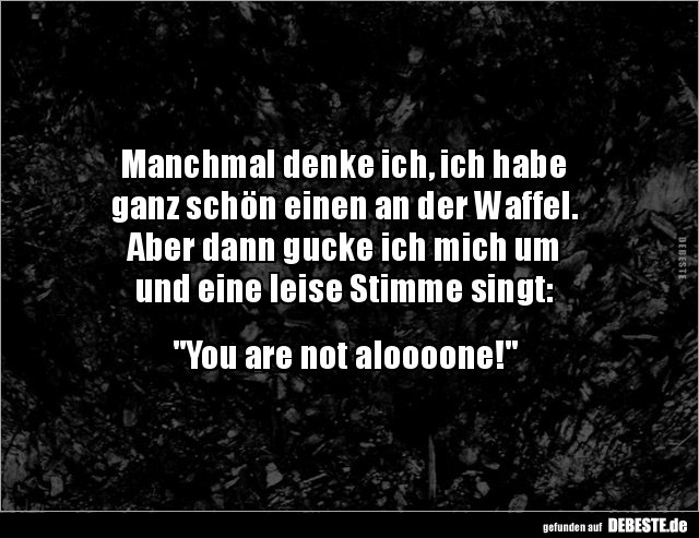 Manchmal denke ich, ich habe
ganz schön einen an der Waffel.
Aber dann gucke ich mich um
und eine leise Stimme singt:


...