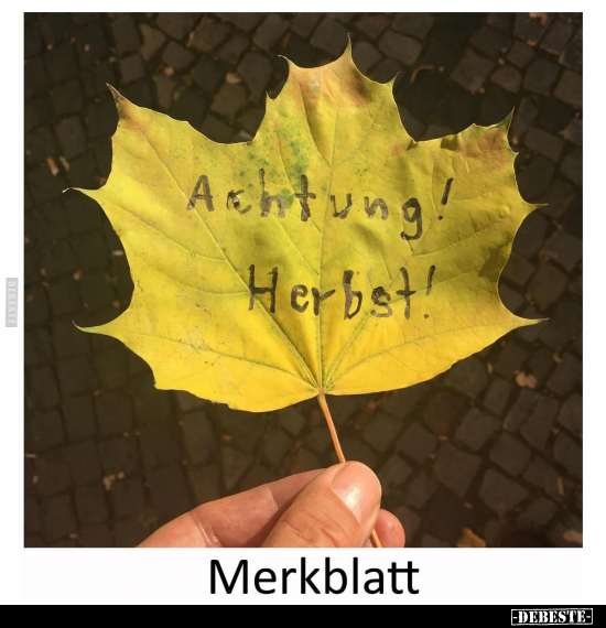 Merkblatt.. - Lustige Bilder | DEBESTE.de