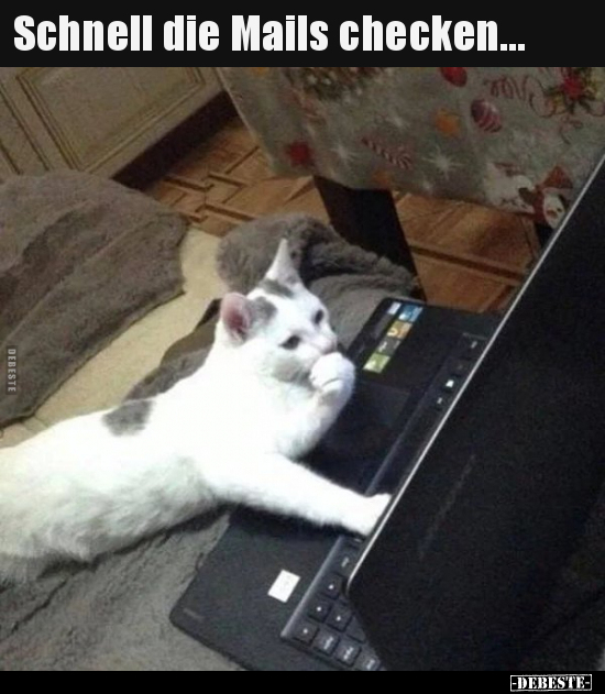 Schnell die Mails checken...