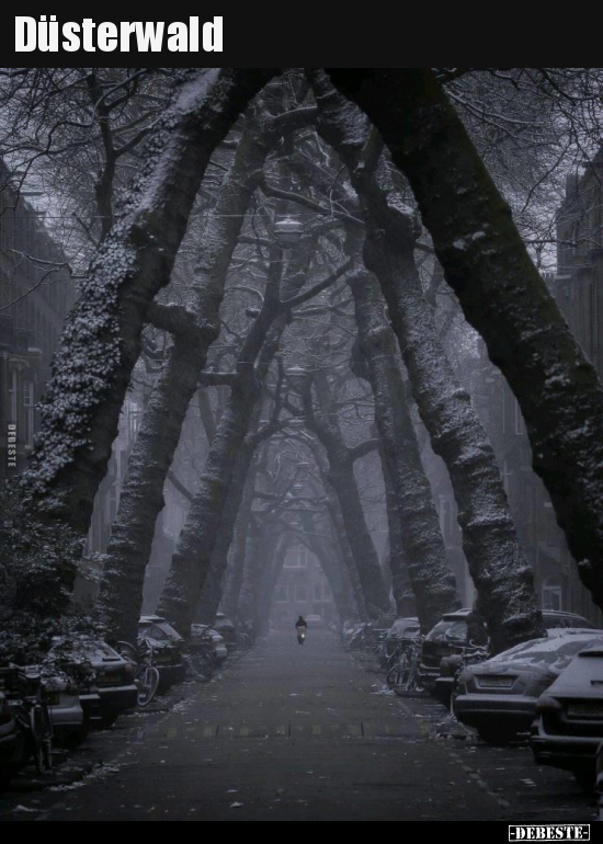 Düsterwald..
