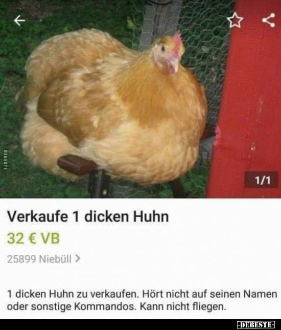 1 dicken Huhn zu verkaufen.. - Lustige Bilder | DEBESTE.de