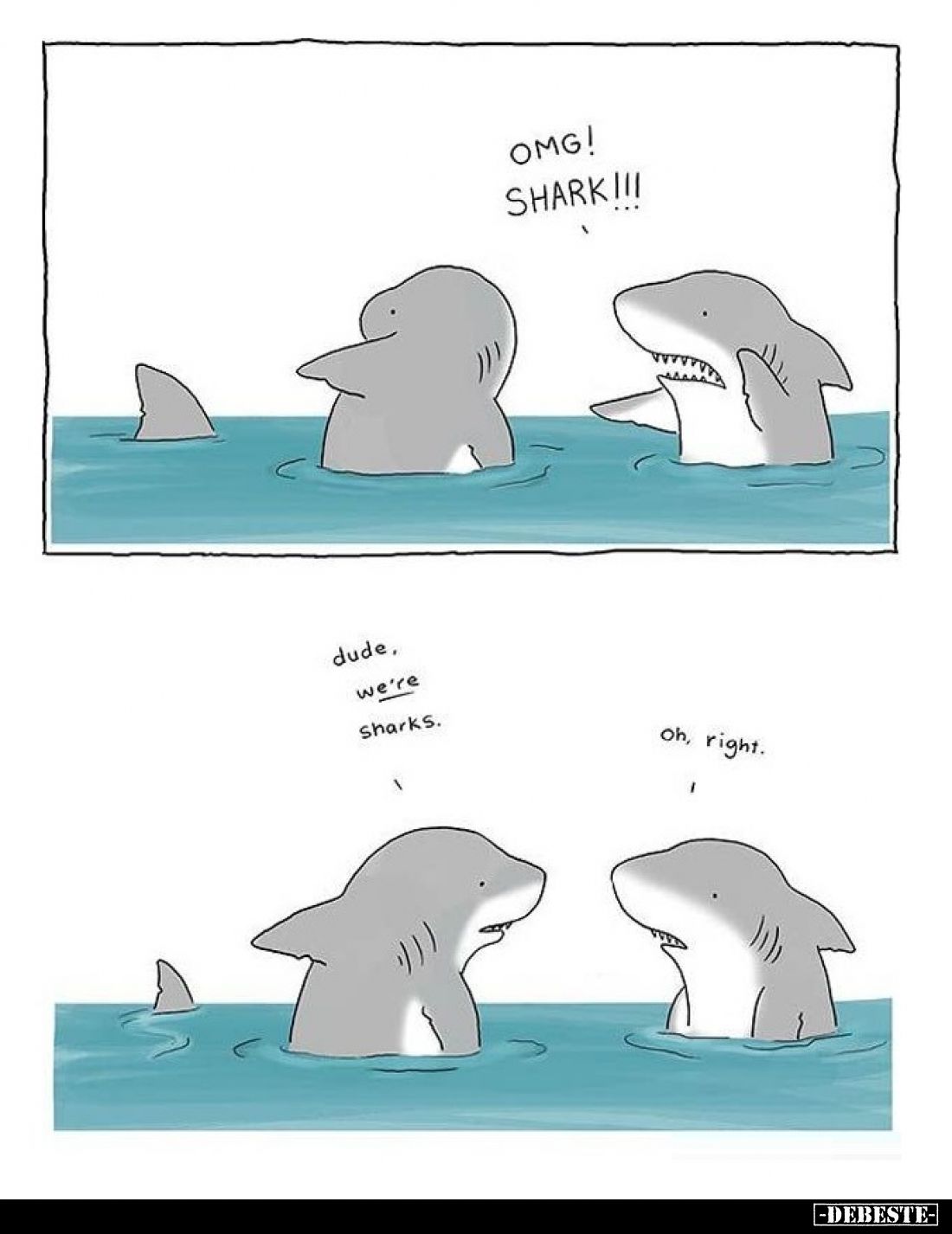 OmG! Shark! - 
Dude. We're sharks. -
Oh, right.