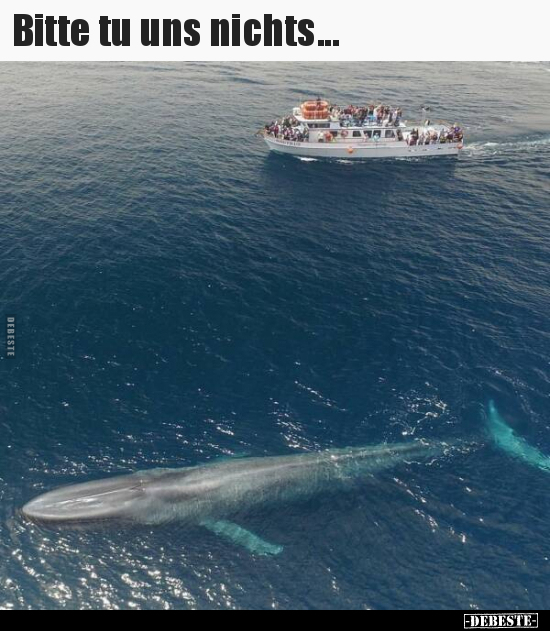 Bitte tu uns nichts...