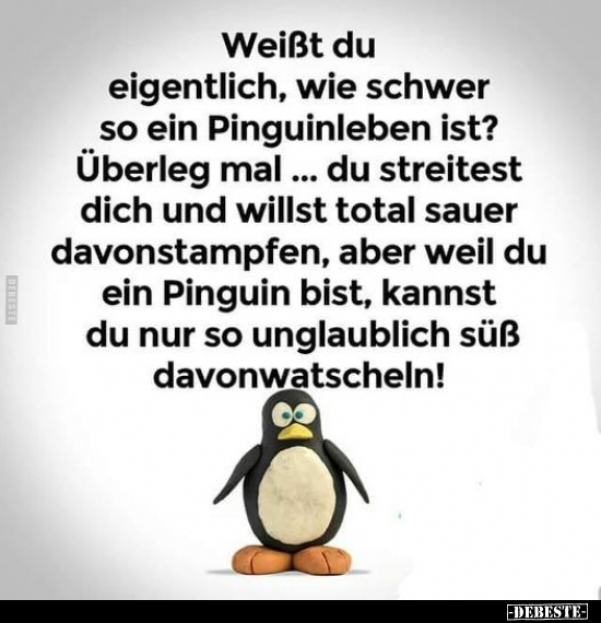 Weißt du eigentlich, wie schwer so ein Pinguinleben ist?.. - Lustige Bilder | DEBESTE.de