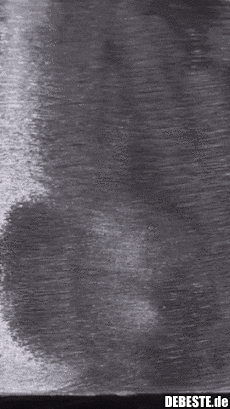 Es gibt immer was zu tun..