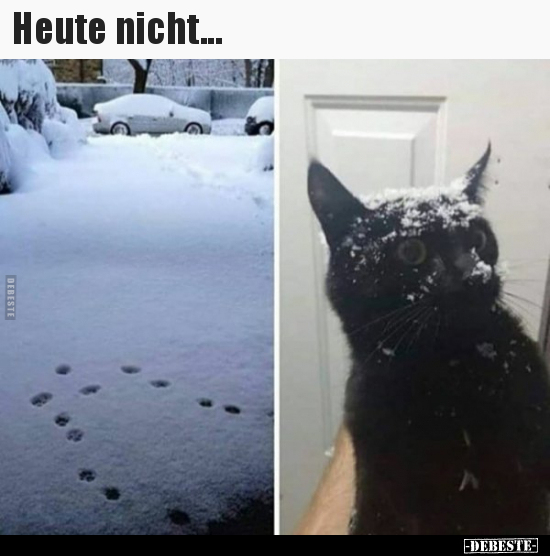 Heute nicht... - Lustige Bilder | DEBESTE.de