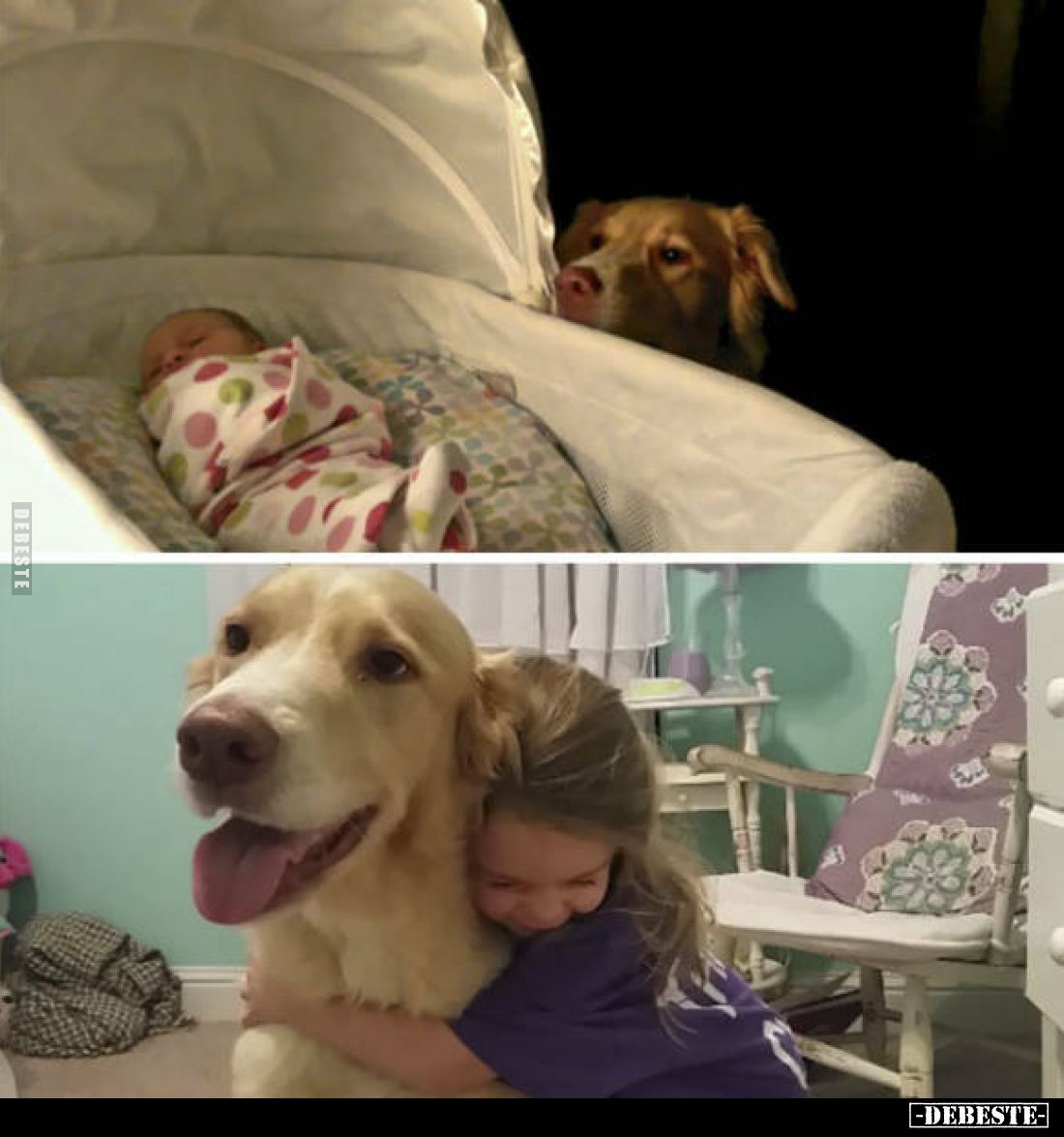  - Lustige Bilder | DEBESTE.de