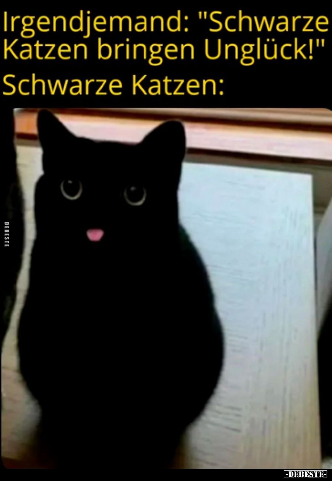 Irgendjemand: "Schwarze Katzen bringen Unglück!" -
Schwarze Katzen: