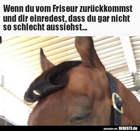 Wenn du vom Friseur zurückkommst und dir einredest, dass..
