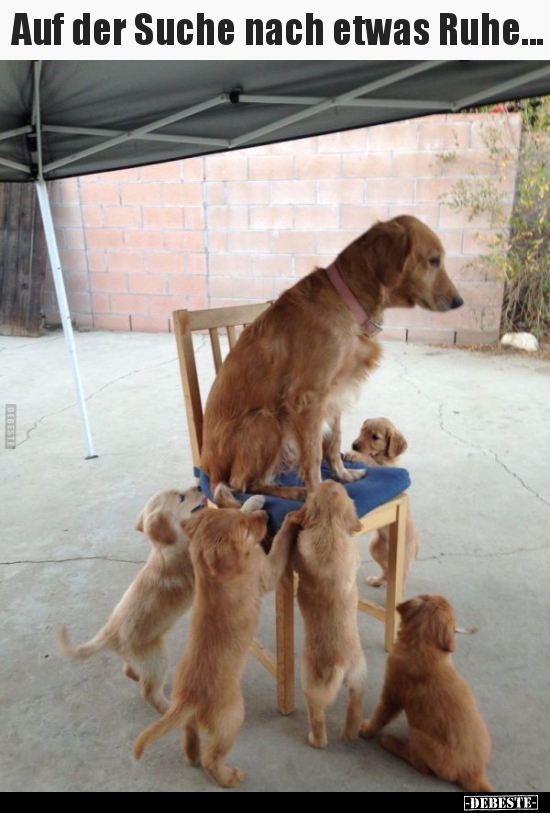 Auf der Suche nach etwas Ruhe...