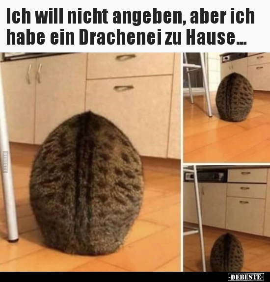 Ich will nicht angeben, aber ich habe ein Drachenei zu..