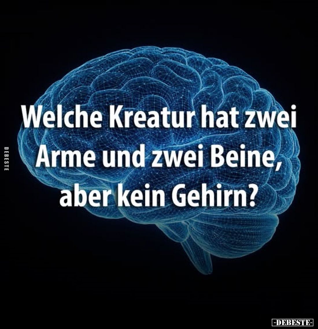 Welche Kreatur hat zwei Arme und zwei Beine, aber kein Gehirn?.. - Lustige Bilder | DEBESTE.de