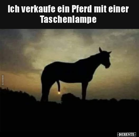 Deutsche, Wenn, Pferd, Fuchs, Frühling