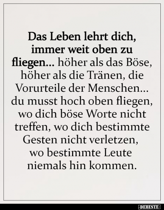 Das Leben lehrt dich, immer weit oben zu fliegen...