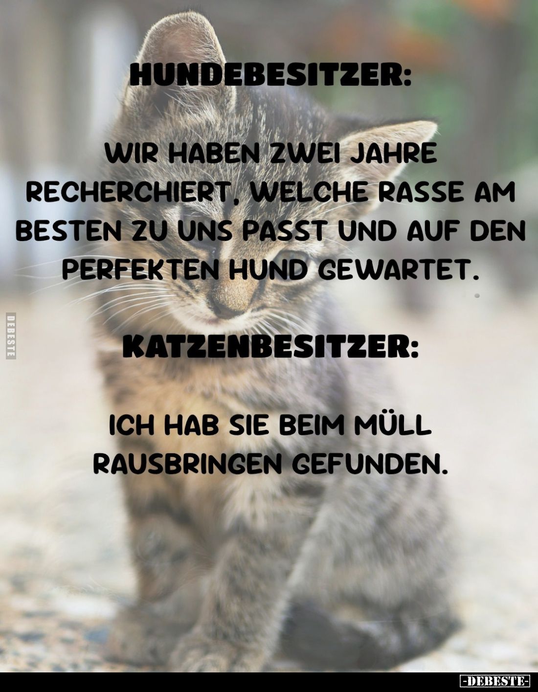 Hundebesitzer: Wir haben zwei Jahre recherchiert... - Lustige Bilder | DEBESTE.de