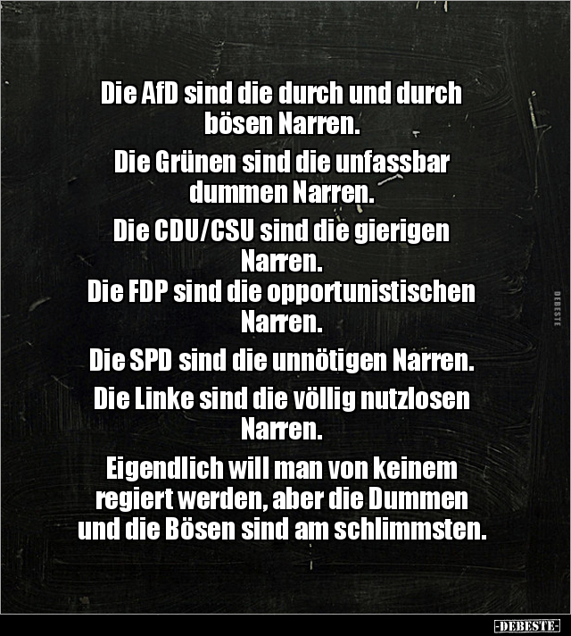Die AfD sind die durch und durch bösen Narren... - Lustige Bilder | DEBESTE.de