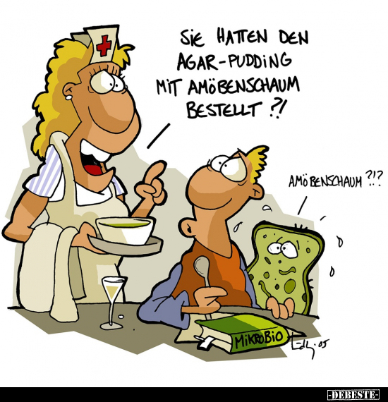 Sie hatten den Agar-Pudding.. - Lustige Bilder | DEBESTE.de