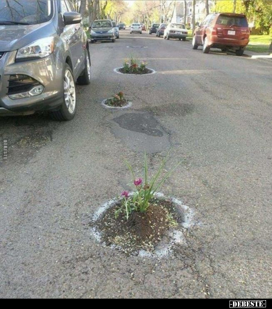  - Lustige Bilder | DEBESTE.de