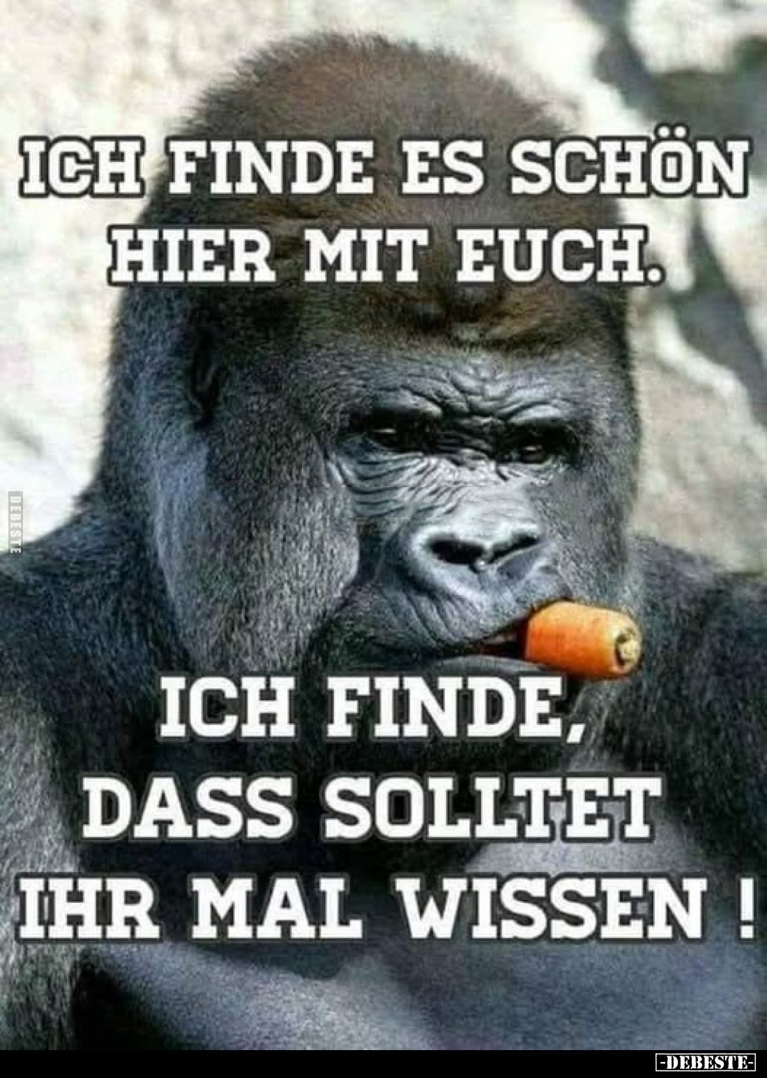 Ich finde es schön hier mit euch.
-
Ich finde, dass solltet ihr mal wissen!