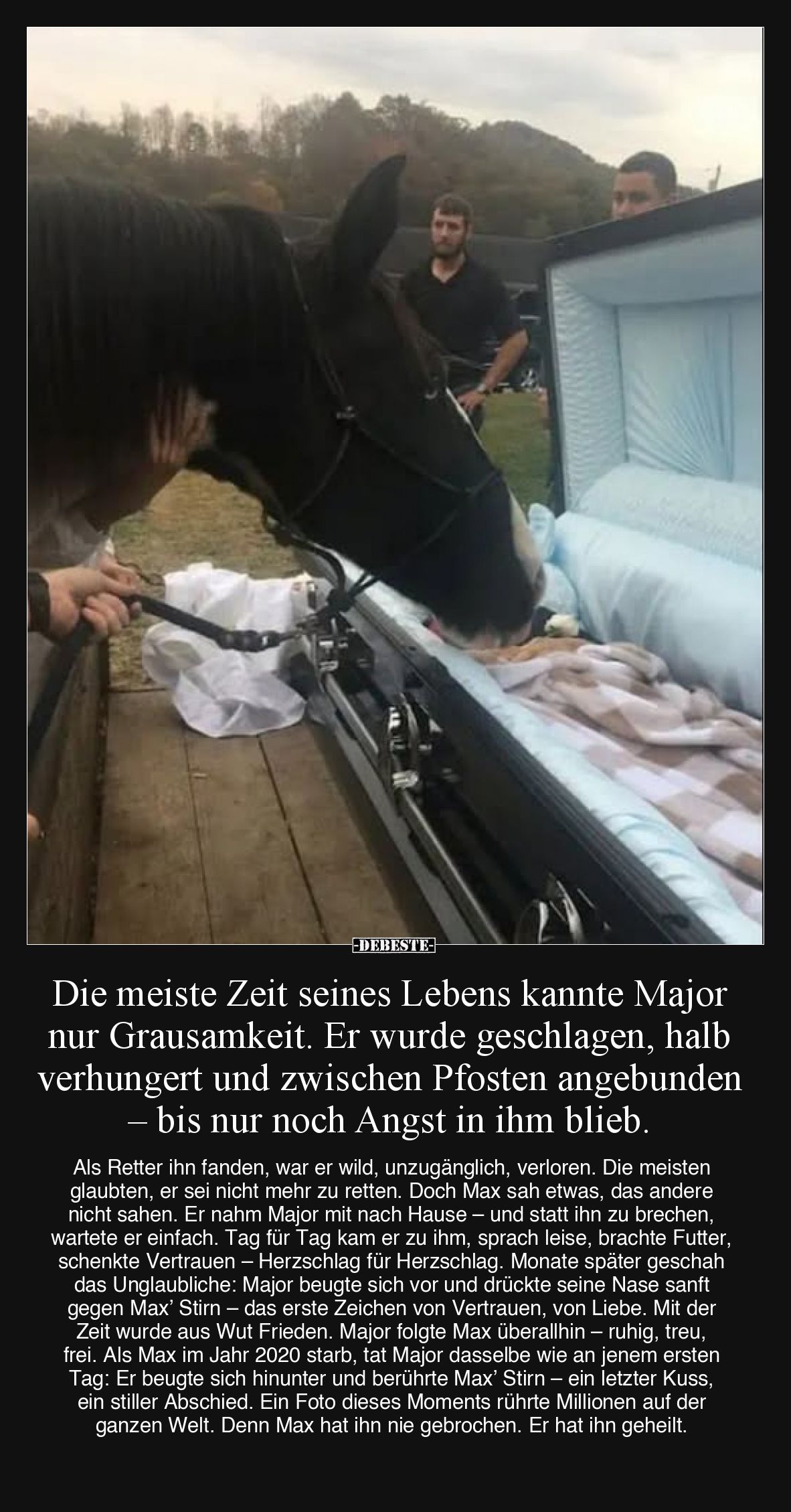 Die meiste Zeit seines Lebens kannte Major nur Grausamkeit.
Er wurde geschlagen, halb verhungert und zwischen Pfosten angebu...