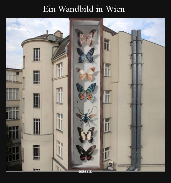 Ein Wandbild in Wien.. - Lustige Bilder | DEBESTE.de