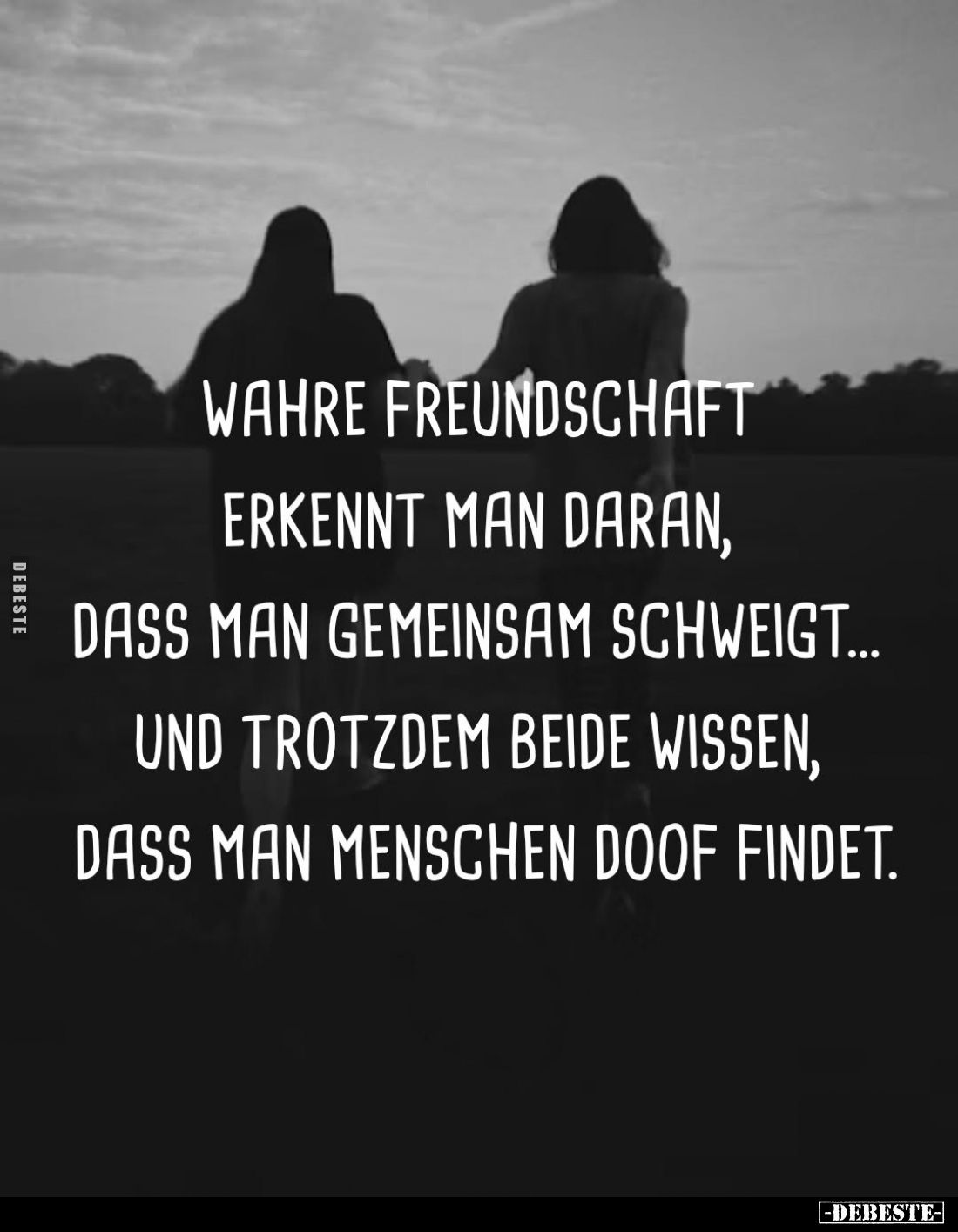 Wahre Freundschaft erkennt man daran, dass man gemeinsam schweigt... und trotzdem beide wissen, dass man Menschen doof findet...