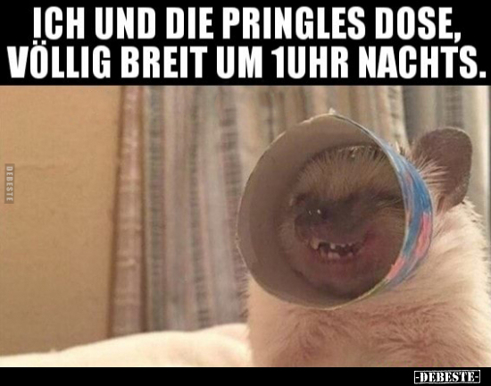 Ich und die Pringles Dose, völlig breit um 1 Uhr.. - Lustige Bilder | DEBESTE.de