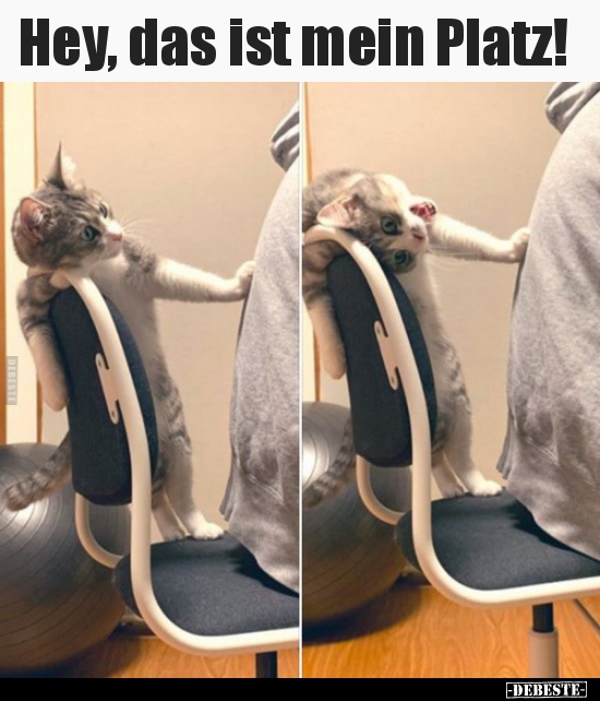 Hey, das ist mein Platz!..