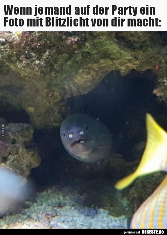 Wenn jemand auf der Party ein Foto mit Blitzlicht von dir..