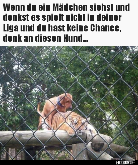 Wenn du ein Mädchen siehst und denkst es spielt nicht in..