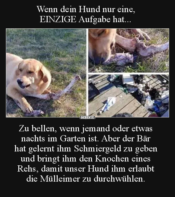 Wenn dein Hund nur eine, EINZIGE Aufgabe hat... Zu bellen.. - Lustige Bilder | DEBESTE.de