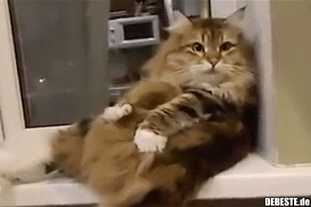 Ich fühl mich gut..