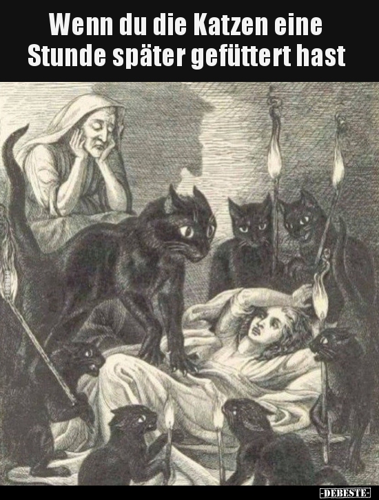 Wenn du die Katzen eine Stunde später gefüttert hast..