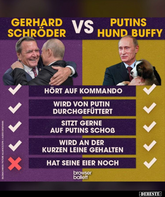 Gerhard Schröder vs Putins Hund Buffy.. - Lustige Bilder | DEBESTE.de