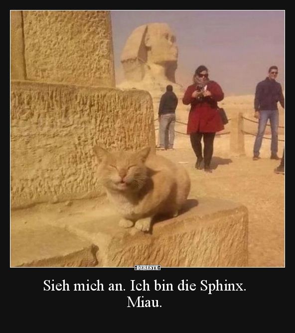 Sieh mich an. Ich bin die Sphinx. Miau... - Lustige Bilder | DEBESTE.de