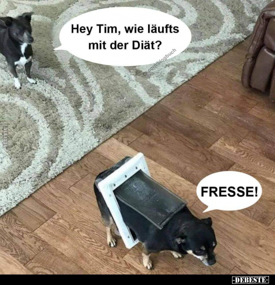 Hey Tim, wie läufts mit der Diät?.. - Lustige Bilder | DEBESTE.de