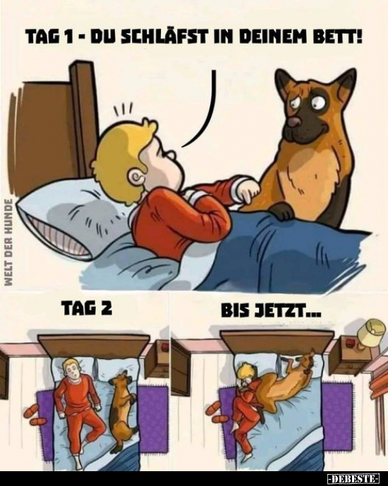 Tag 1- Du schläfst in deinem Bett!.. - Lustige Bilder | DEBESTE.de